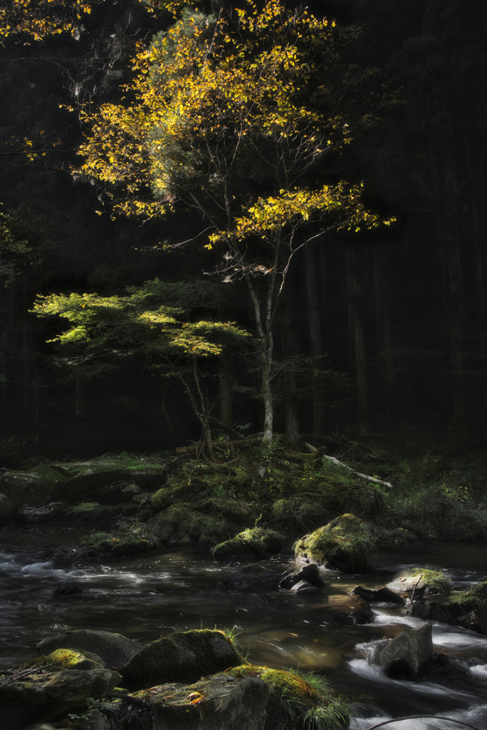 江竜田の滝４