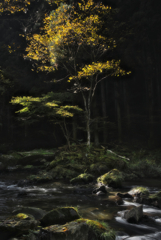 江竜田の滝４