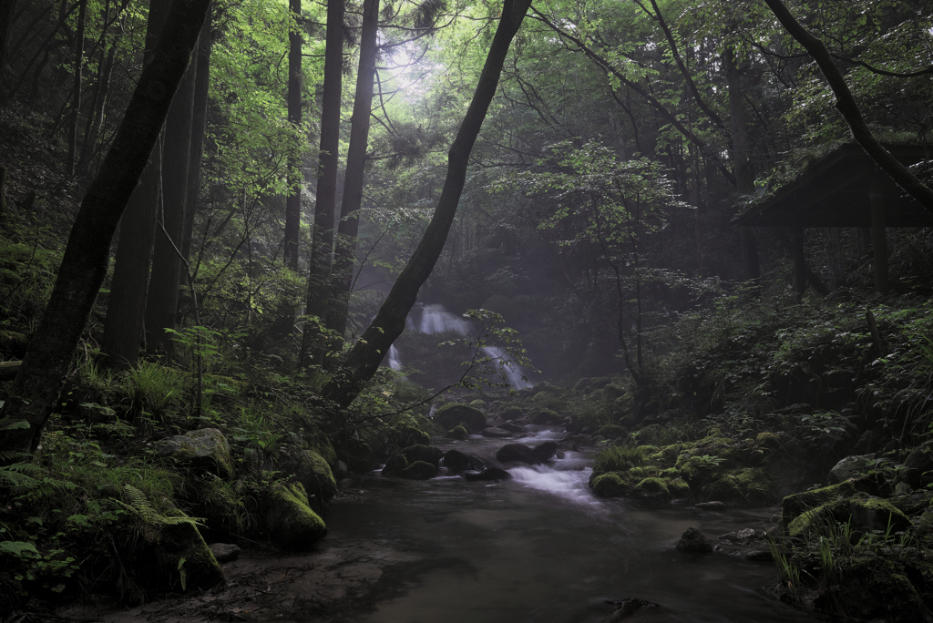 河鹿沢の雌滝