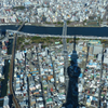東京シャドウツリー