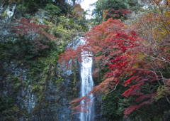 箕面の滝