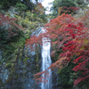 箕面の滝
