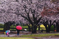 雨やんだよ