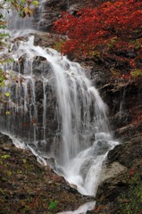 滝と紅葉