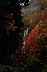 唐沢の滝　秋2013