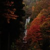 唐沢の滝　秋2013