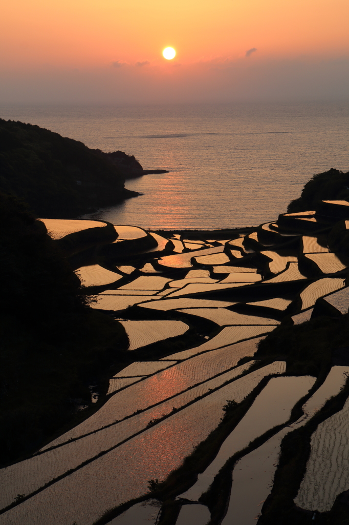 Rice terraces