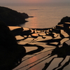 Rice terraces