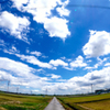 DSC00242