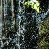 DSC00990