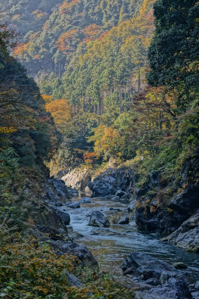 鳩ノ巣渓谷