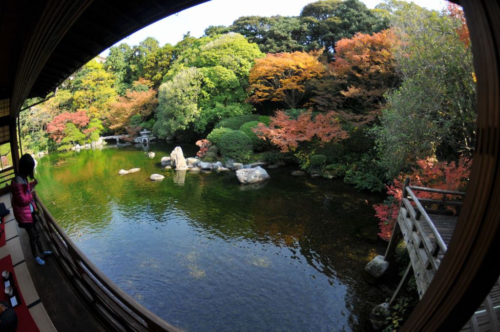 友泉亭公園2