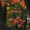 線香花火のように