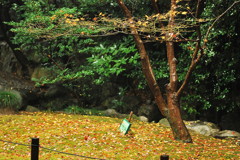 終焉
