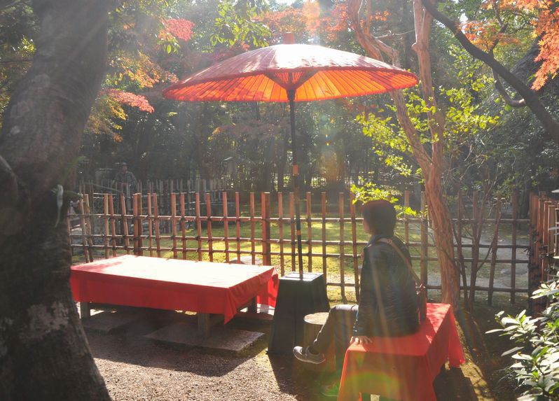 木漏れ日の中で