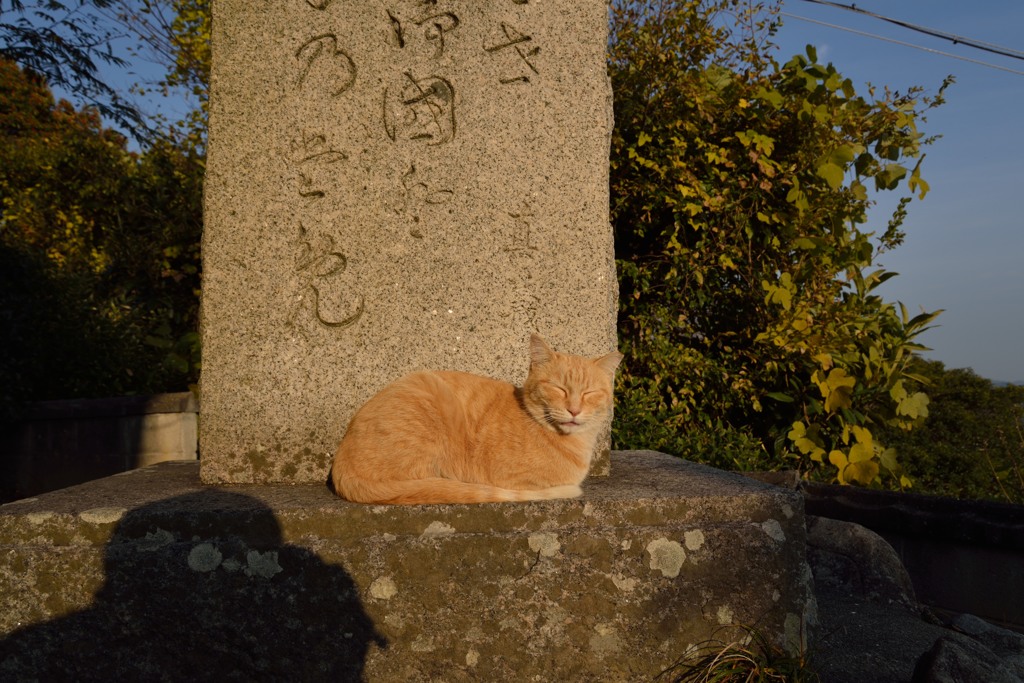 尾道　坂道の休憩