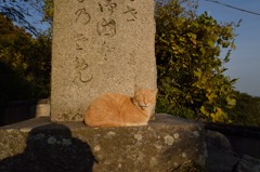 尾道　坂道の休憩