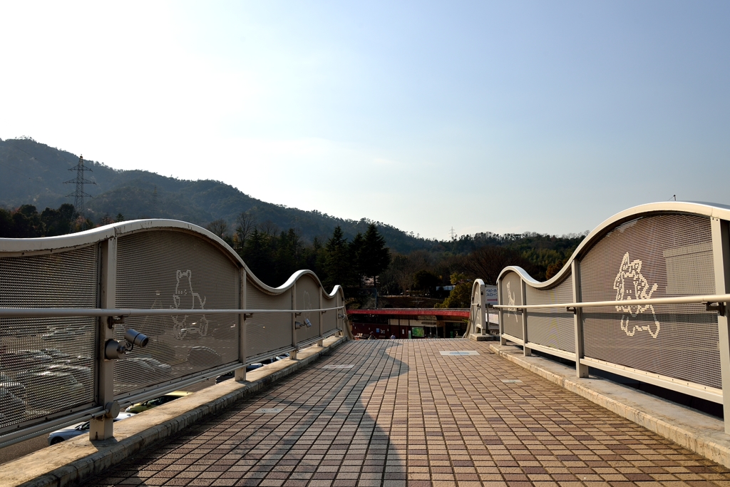 安佐動物園　通路