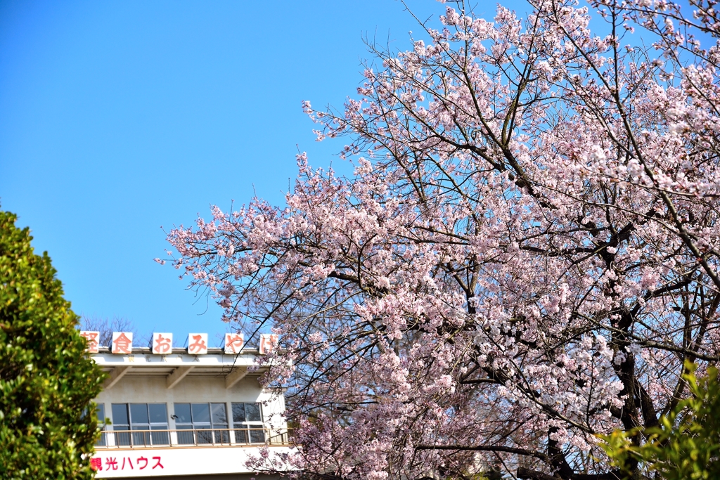 音戸の瀬戸公園