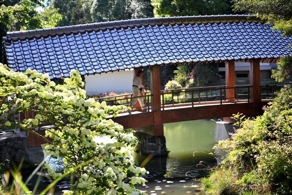 福成寺