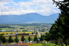 富良野