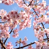 春近し