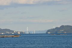 波多見の海水浴場