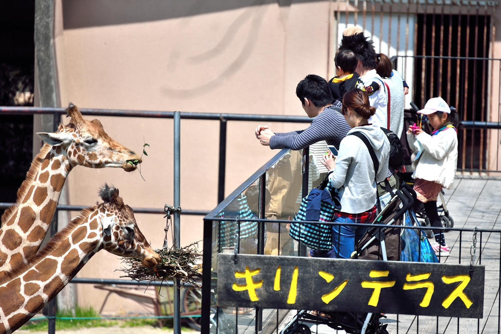 キリンテラス