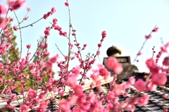 一休