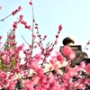 一休