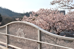 安佐動物園　通路と桜