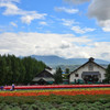 ファーム富田