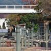 アレイからすこじま