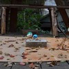 尾道の世界