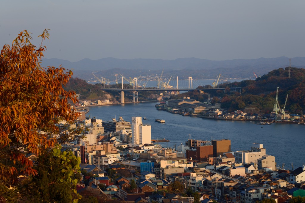 尾道水道