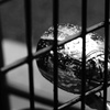 _DSC2095
