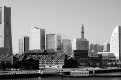 _DSC1440