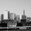 _DSC1440