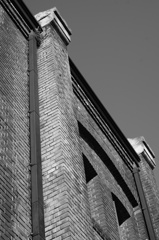 _DSC1444