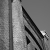 _DSC1444