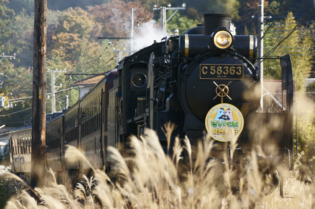 埼玉県民の日・パレオエクスプレス号