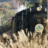 埼玉県民の日・パレオエクスプレス号