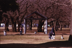 Yoyogi Park 02