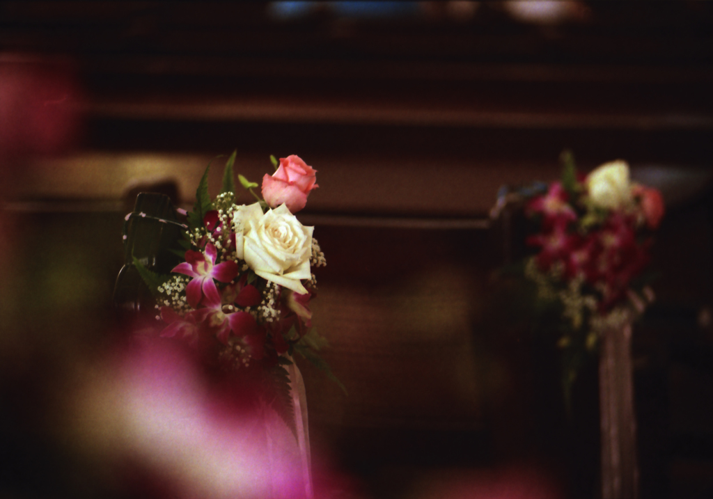 Flower 01
