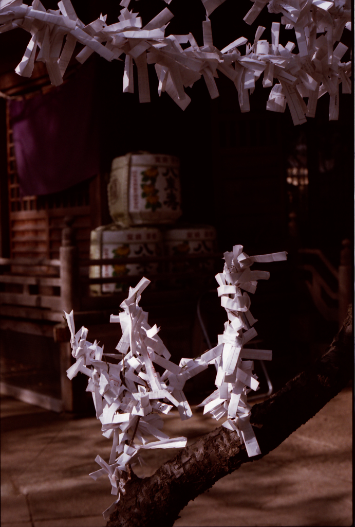 Fortune Slips 01