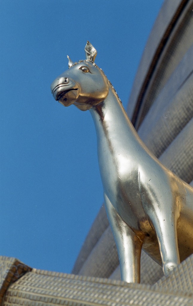 Horse 01