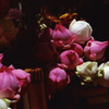 Flower 01