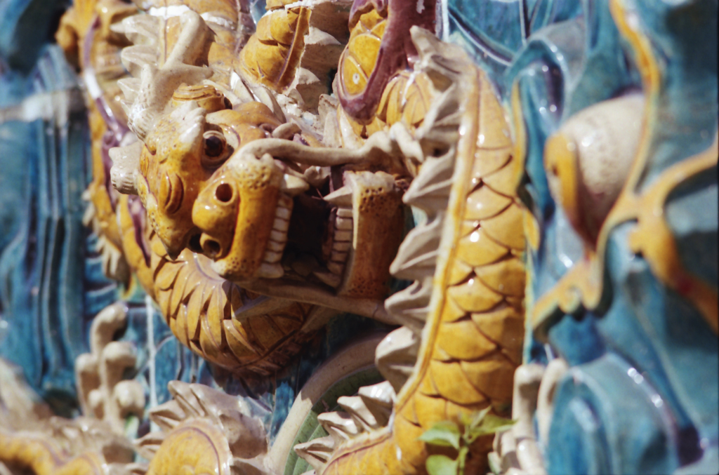 Dragon 01