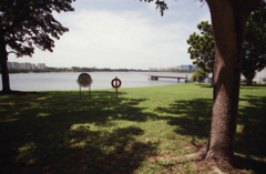Bedok Reservior 08(Do you think someone 