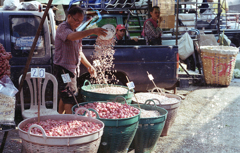 Talat Pak Khlong  01